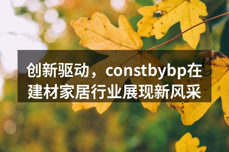 constbybp展位吸引众多观众